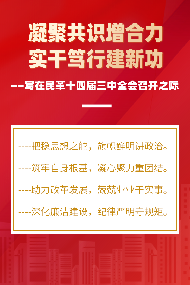 凝聚共識(shí)增合力 實(shí)干篤行建新功——寫在民革十四屆三中全會(huì)召開之際