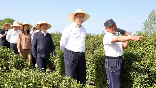 民革中央調(diào)研組赴陜西開展年度重點考察調(diào)研